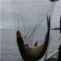 click image to enlarge