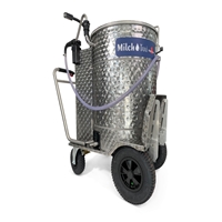 click image to enlarge