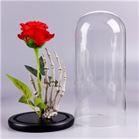 click image to enlarge