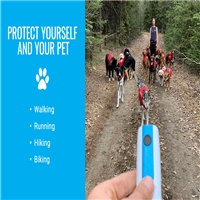 click image to enlarge