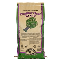 click image to enlarge