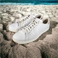 click image to enlarge