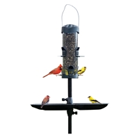 click image to enlarge