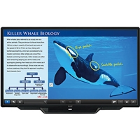 click image to enlarge