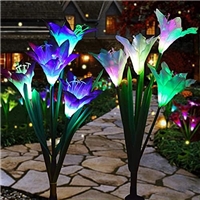 click image to enlarge