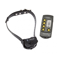 click image to enlarge