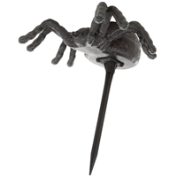 click image to enlarge