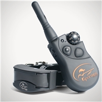 click image to enlarge