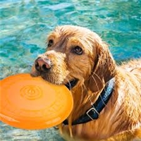 click image to enlarge