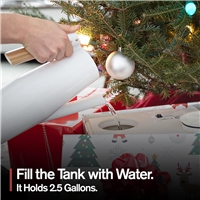 click image to enlarge