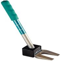 click image to enlarge