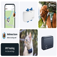 click image to enlarge