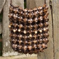 click image to enlarge