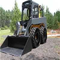 click image to enlarge