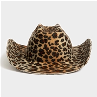 click image to enlarge