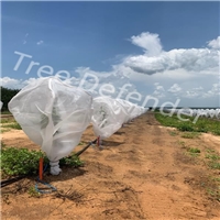 click image to enlarge