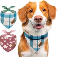 click image to enlarge