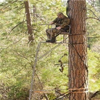 click image to enlarge