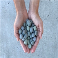 click image to enlarge