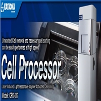 click image to enlarge