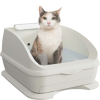 click image to enlarge