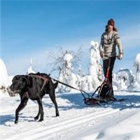 click image to enlarge