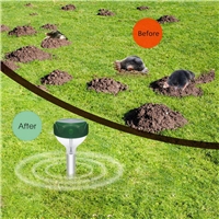 click image to enlarge