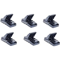 click image to enlarge