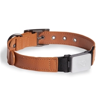 click image to enlarge