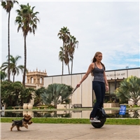 click image to enlarge