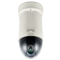 click image to enlarge