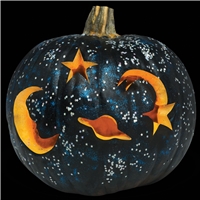 click image to enlarge