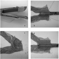 click image to enlarge