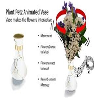 click image to enlarge