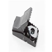 click image to enlarge