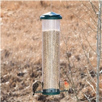 click image to enlarge