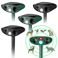 click image to enlarge