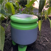 click image to enlarge