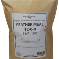 click image to enlarge