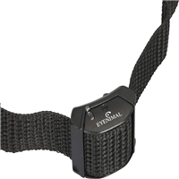 click image to enlarge