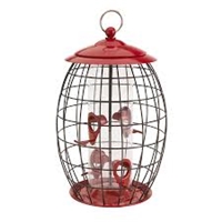 click image to enlarge