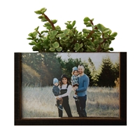 click image to enlarge