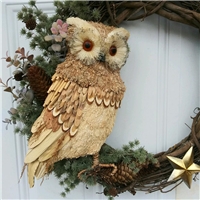 click image to enlarge