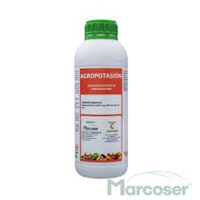 click image to enlarge