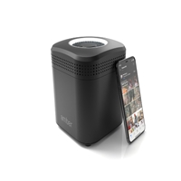 click image to enlarge