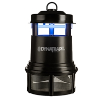 click image to enlarge