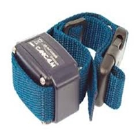 click image to enlarge