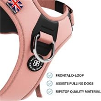 click image to enlarge