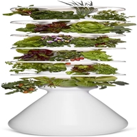 click image to enlarge