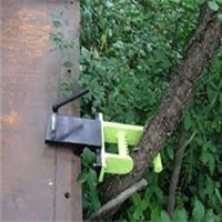 click image to enlarge